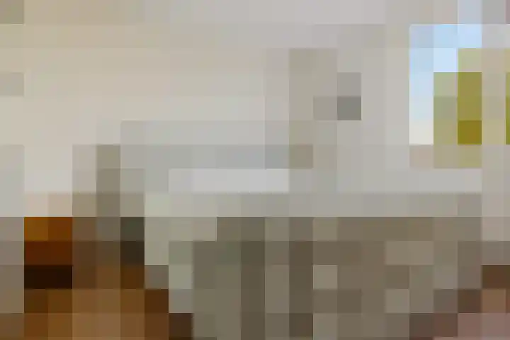 Jadestraat 17 Groningen thumbnail 27