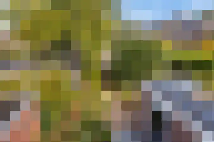Jadestraat 17 Groningen thumbnail 32