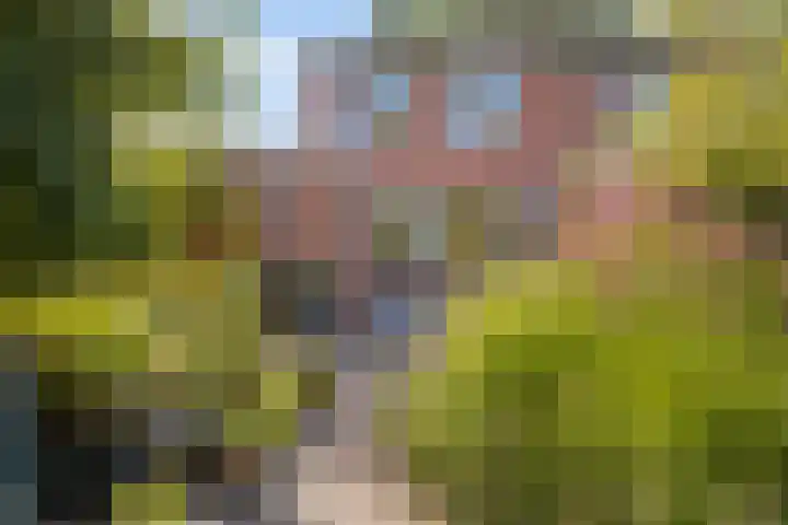 Jadestraat 17 Groningen thumbnail 35