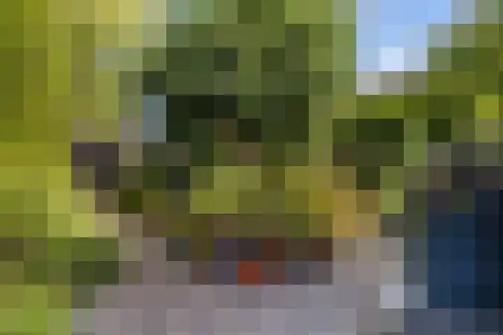 Jadestraat 17 Groningen thumbnail 36