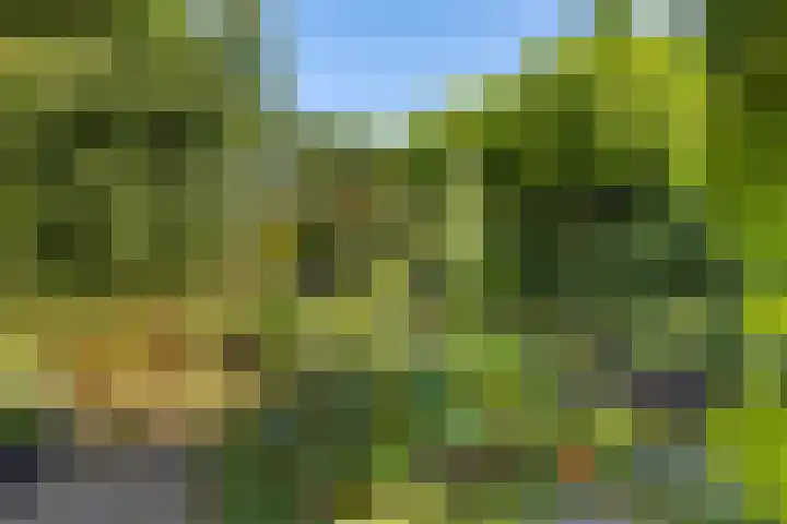 Jadestraat 17 Groningen thumbnail 37