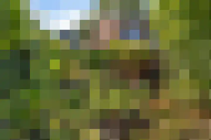 Jadestraat 17 Groningen thumbnail 38