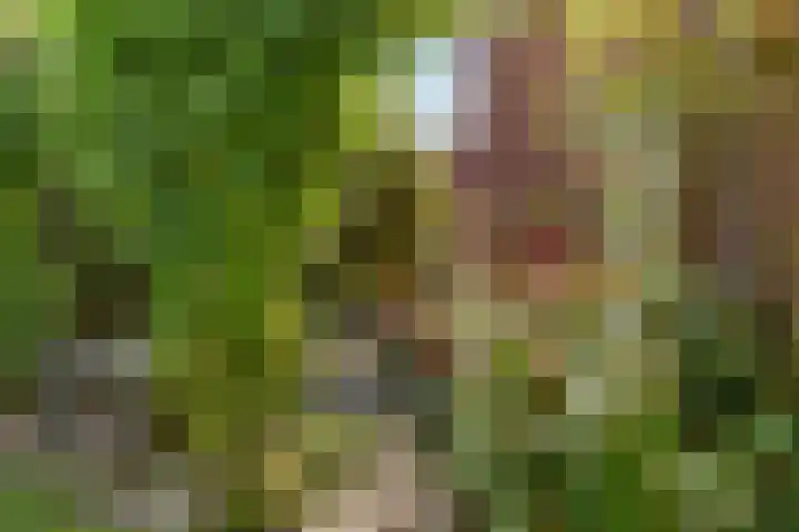 Jadestraat 17 Groningen thumbnail 39