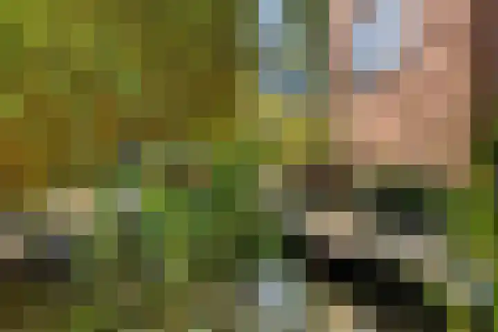 Jadestraat 17 Groningen thumbnail 40