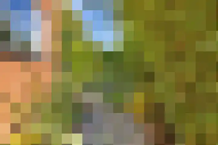 Jadestraat 17 Groningen thumbnail 41