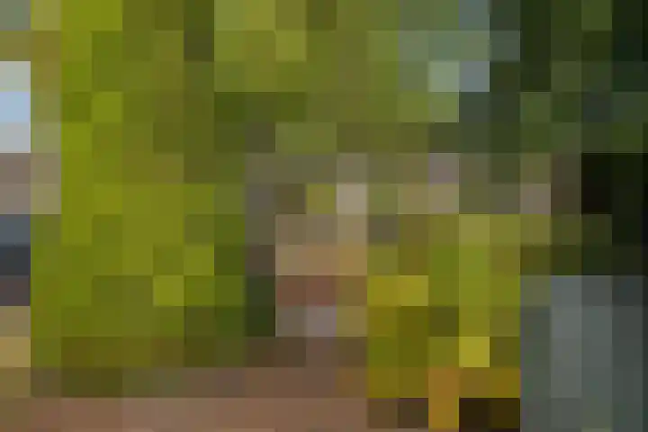 Jadestraat 17 Groningen thumbnail 43