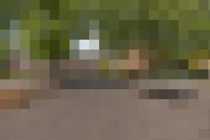 Jadestraat 17 Groningen thumbnail 45