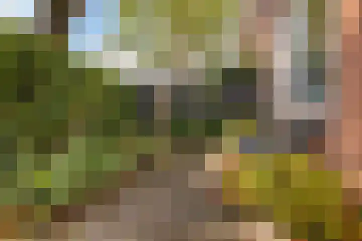 Jadestraat 17 Groningen thumbnail 6