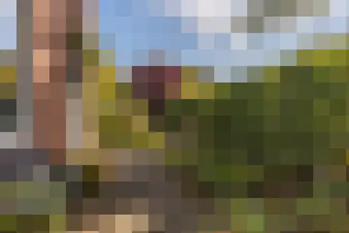 Jadestraat 17 Groningen thumbnail 7
