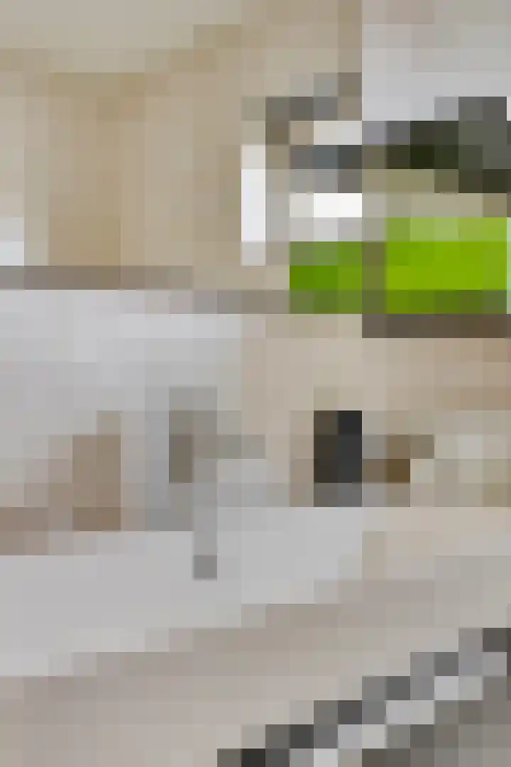 Jadestraat 175 1 Groningen thumbnail 22
