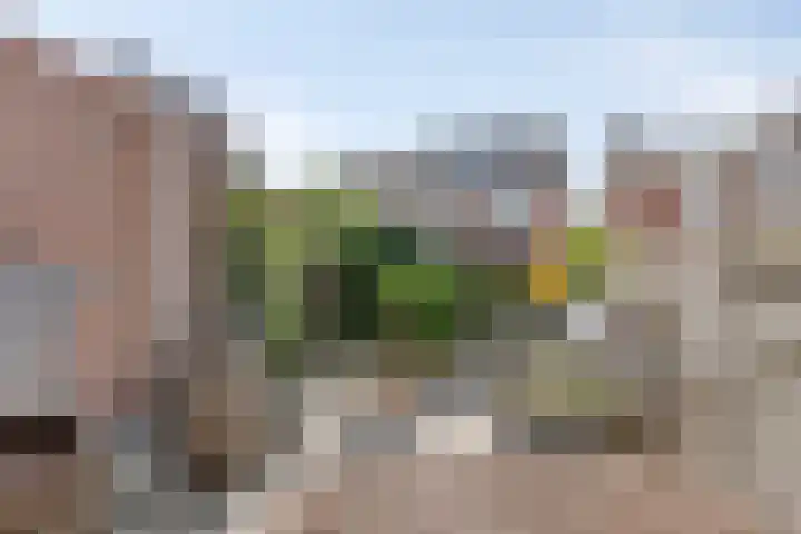Jadestraat 175 1 Groningen thumbnail 33