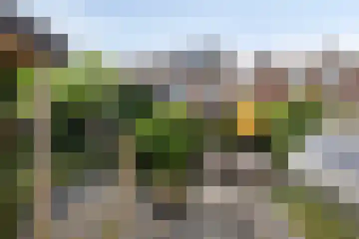 Jadestraat 175 1 Groningen thumbnail 34