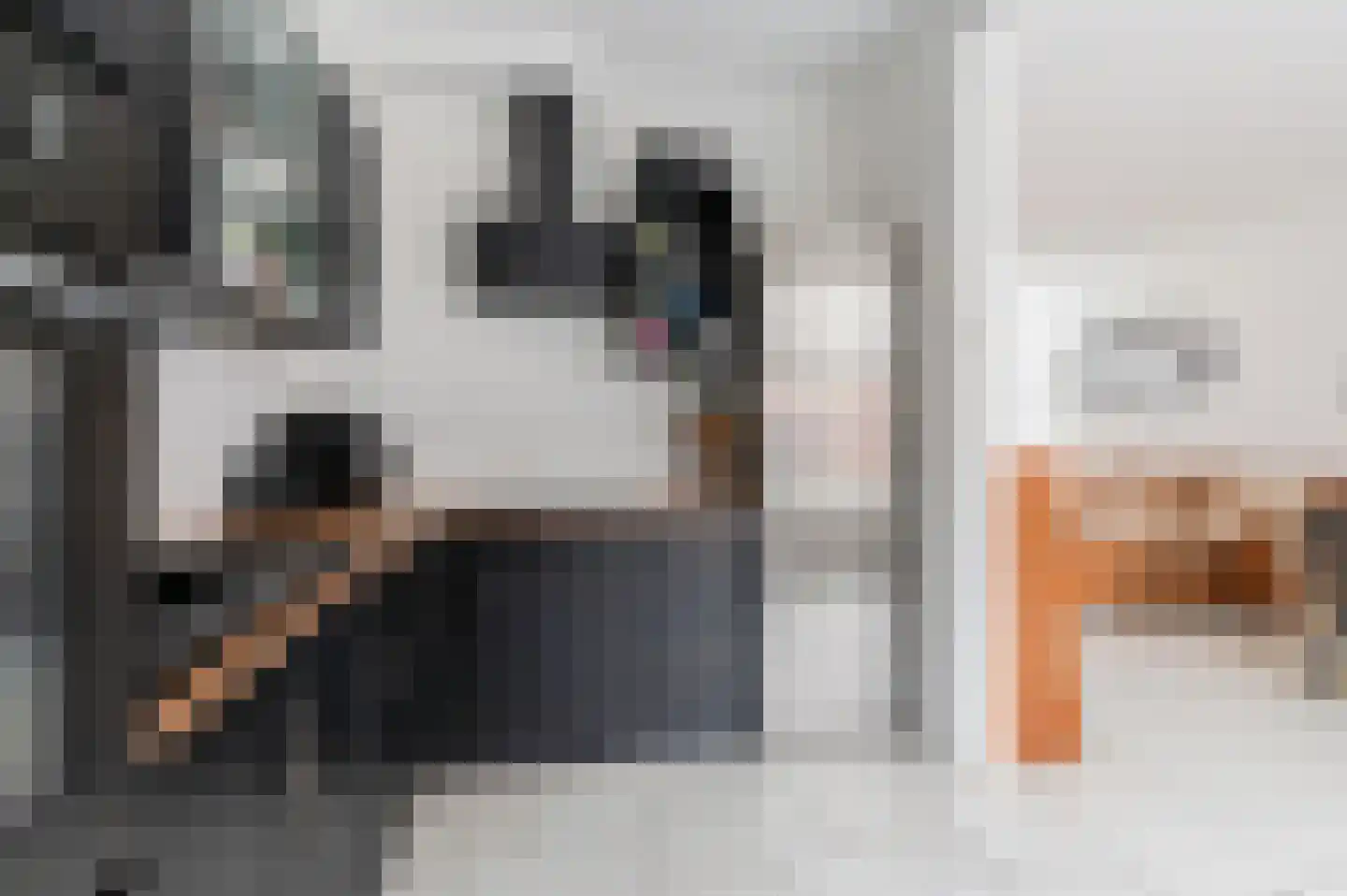 Jadestraat 33 Groningen thumbnail 12