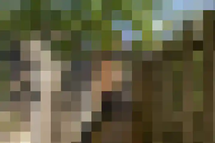 Jadestraat 34 Groningen thumbnail 33