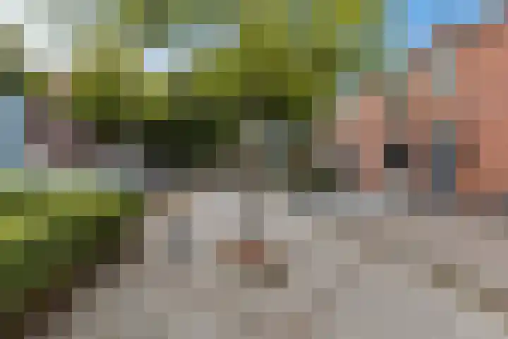 Jadestraat 42 Groningen thumbnail 8