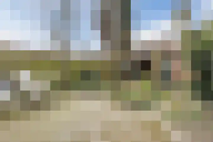 Jadestraat 45 Breda thumbnail 22