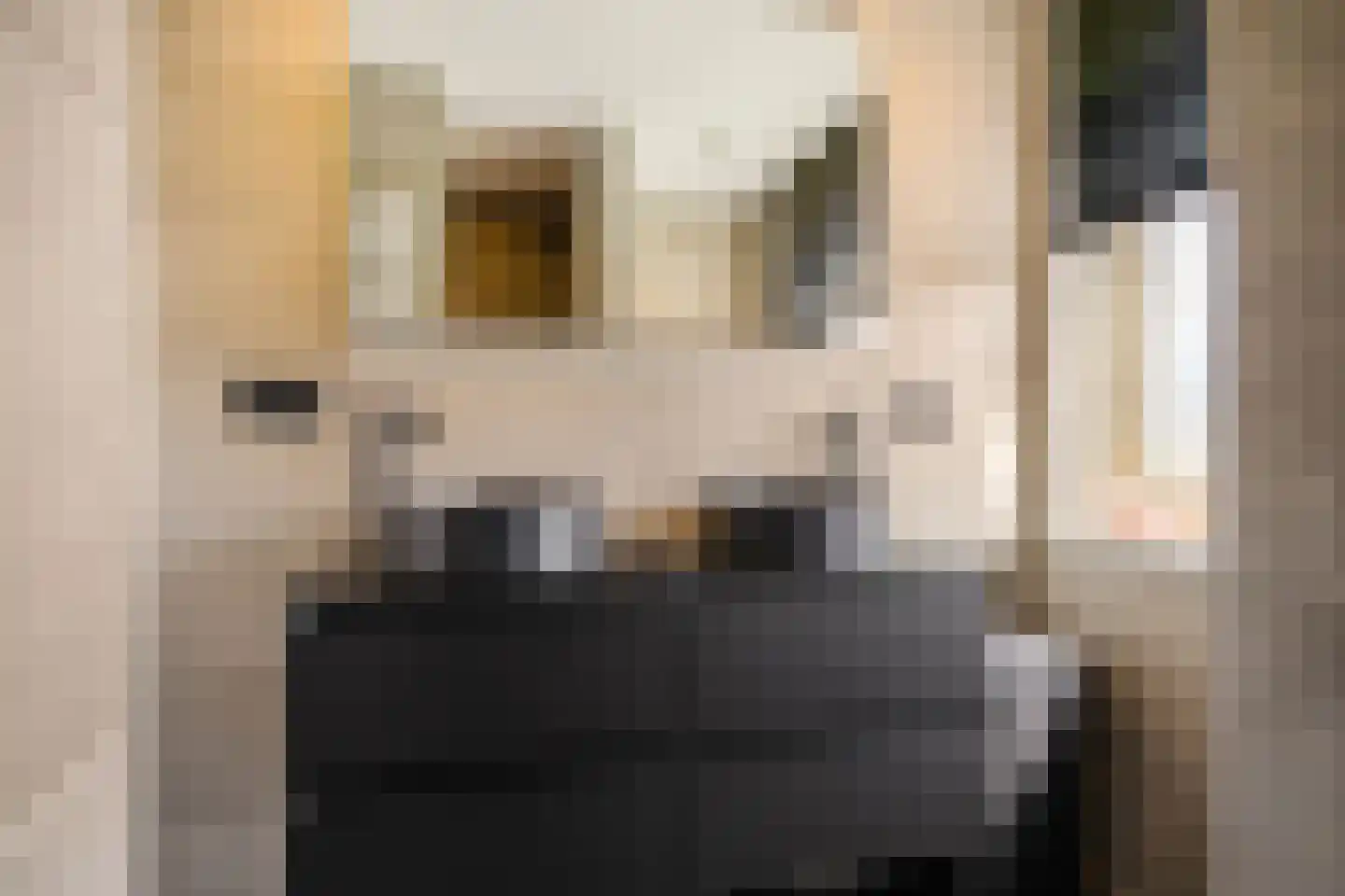 Jadestraat 5 Groningen thumbnail 29