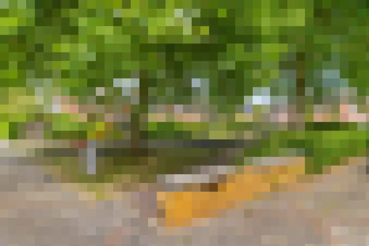 Jadestraat 83 Groningen thumbnail 43