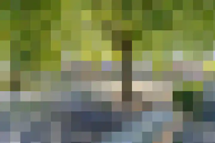 Jadestraat 89 Groningen thumbnail 10