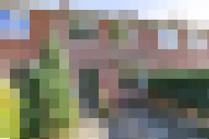 Jadestraat 89 Groningen thumbnail 13
