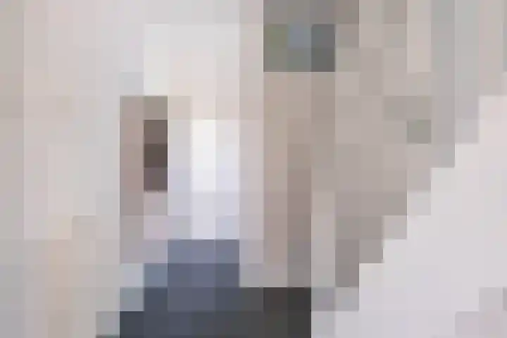 Jadestraat 89 Groningen thumbnail 16
