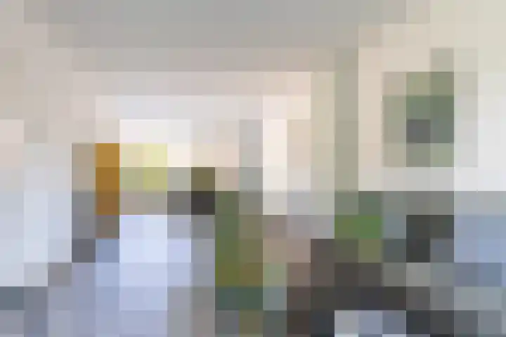 Jadestraat 89 Groningen thumbnail 24