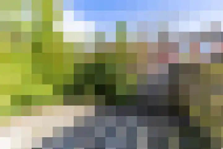 Jadestraat 89 Groningen thumbnail 31