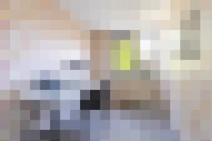 Jadestraat 89 Groningen thumbnail 35