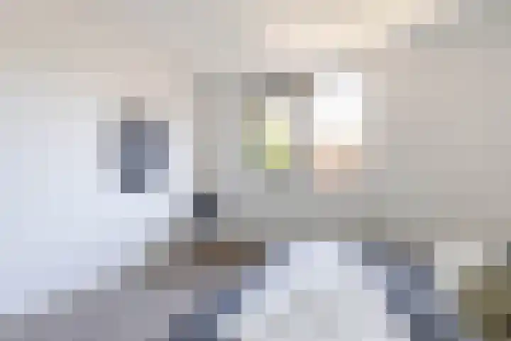Jadestraat 89 Groningen thumbnail 38