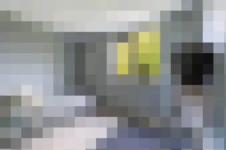 Jadestraat 89 Groningen thumbnail 40