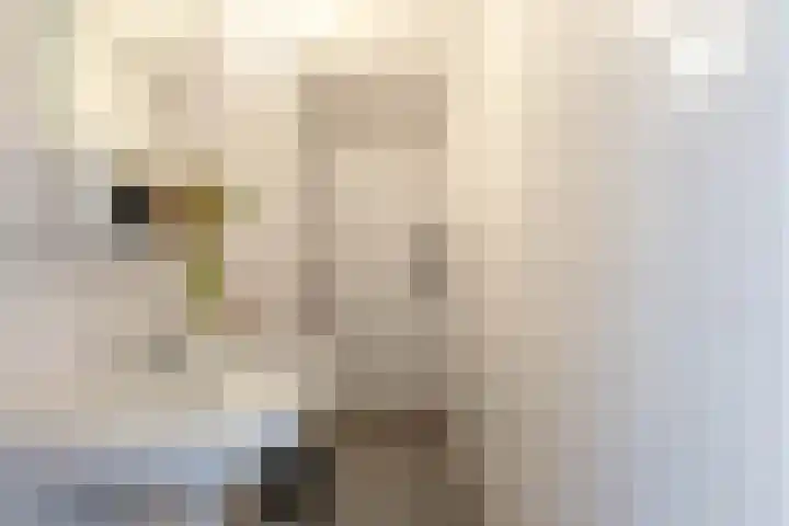 Jadestraat 89 Groningen thumbnail 42