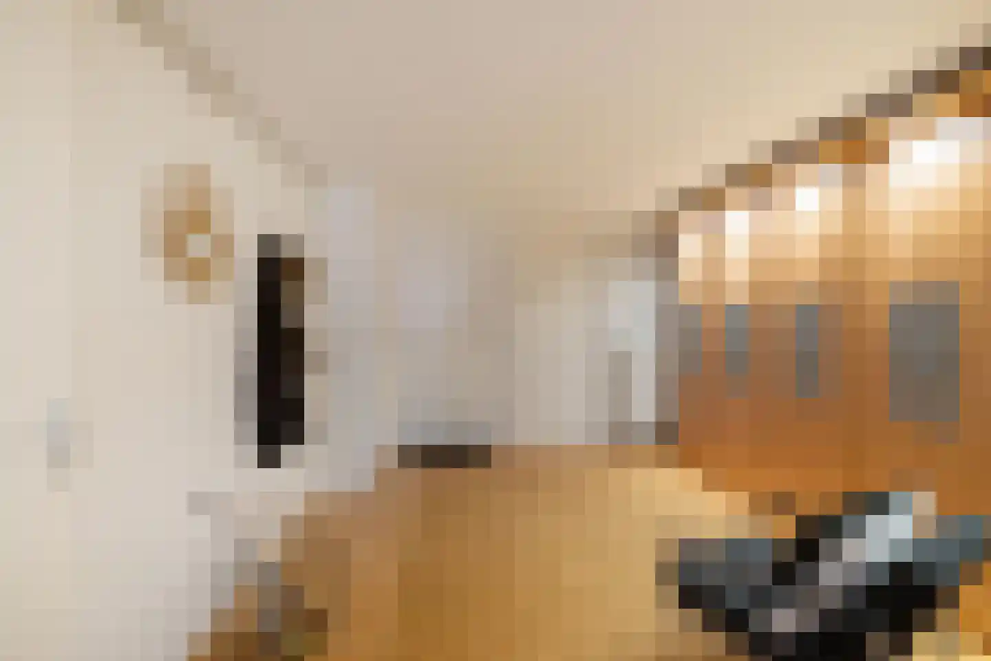 Jadestraat 92 Groningen thumbnail 30
