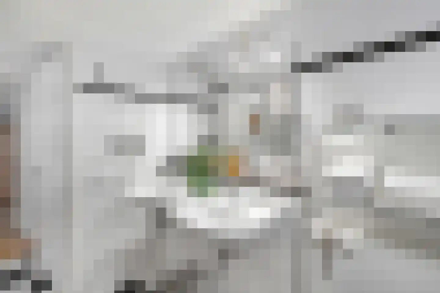 Jadestraat 92 Groningen thumbnail 32