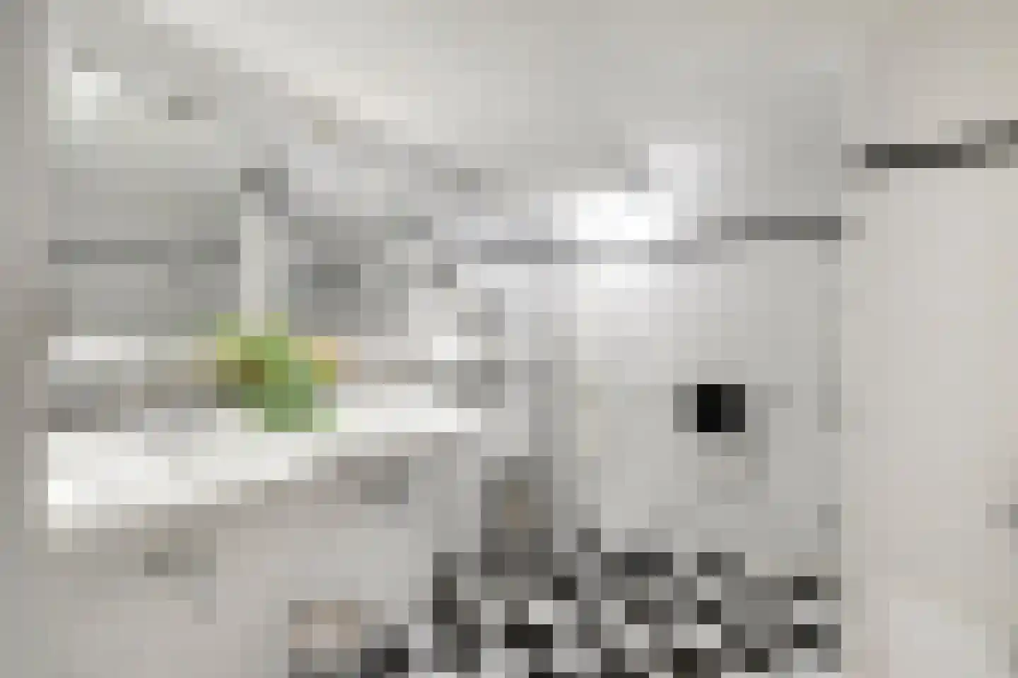 Jadestraat 92 Groningen thumbnail 33
