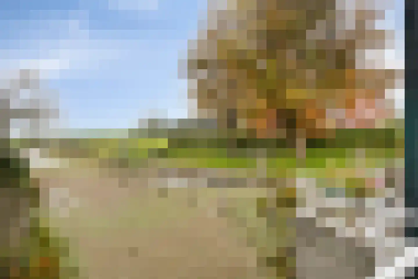 Jaenbuorren 16 Jorwert thumbnail 32