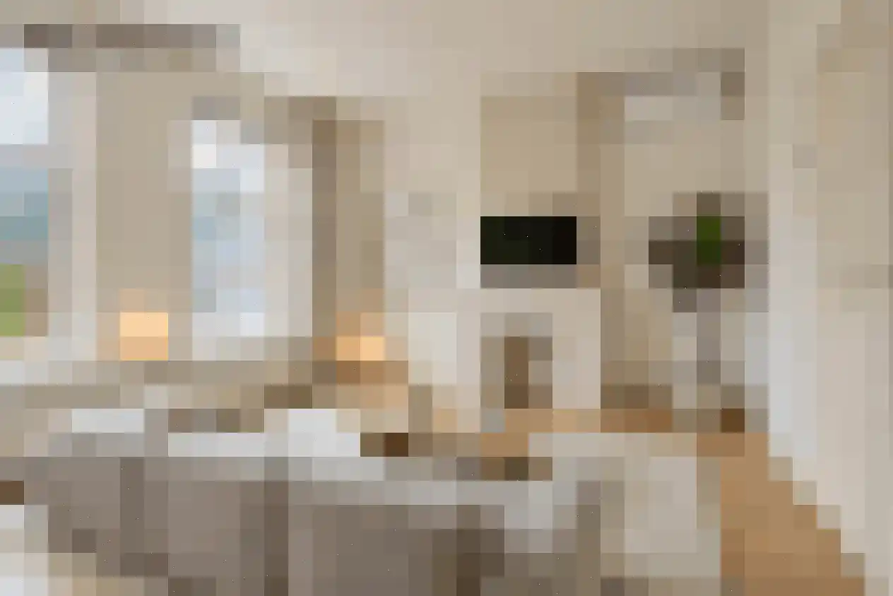 Jaenbuorren 16 Jorwert thumbnail 9