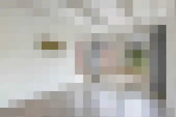 Jaenbuorren 18 Jorwert thumbnail 10