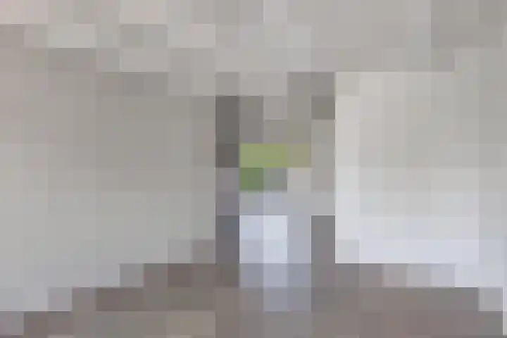 Jaenbuorren 18 Jorwert thumbnail 11
