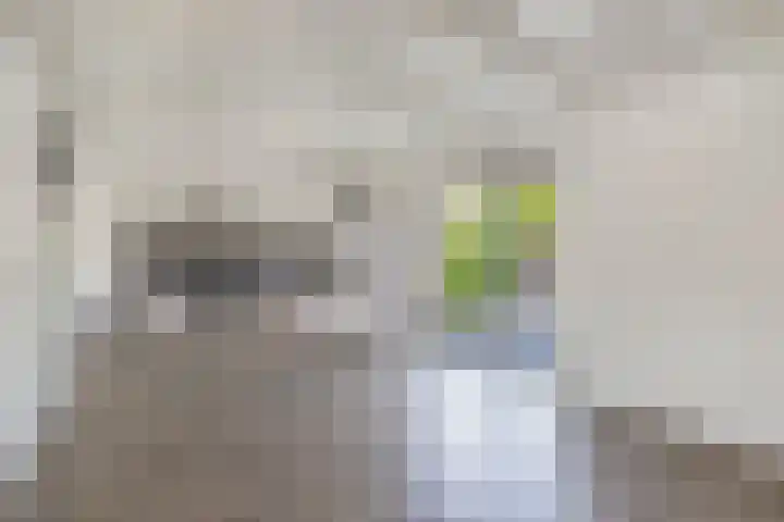 Jaenbuorren 18 Jorwert thumbnail 13