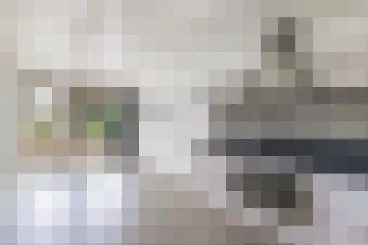 Jaenbuorren 18 Jorwert thumbnail 15