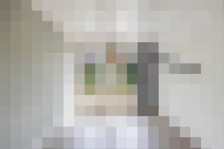 Jaenbuorren 18 Jorwert thumbnail 16