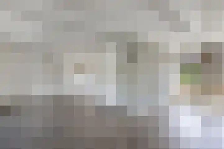 Jaenbuorren 18 Jorwert thumbnail 20
