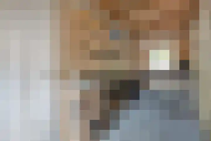 Jaenbuorren 18 Jorwert thumbnail 24