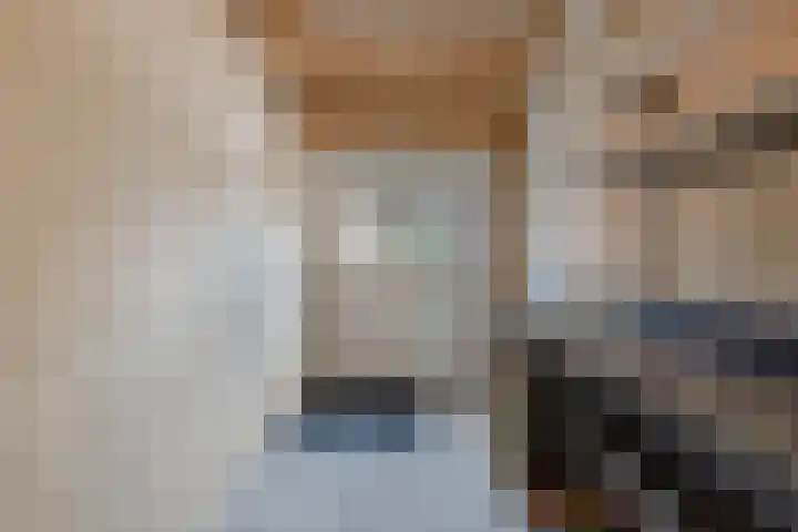 Jaenbuorren 18 Jorwert thumbnail 25