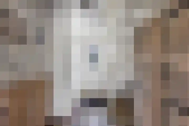 Jaenbuorren 18 Jorwert thumbnail 27