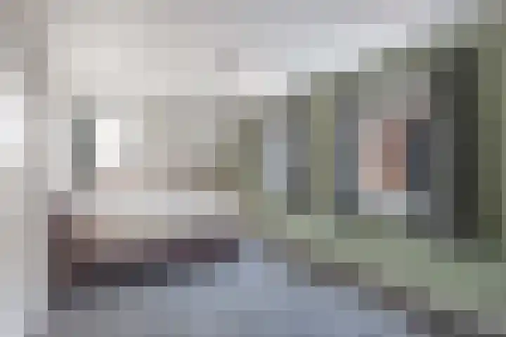 Jaenbuorren 18 Jorwert thumbnail 30