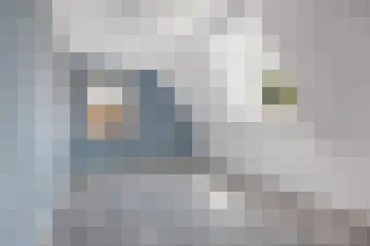 Jaenbuorren 18 Jorwert thumbnail 32