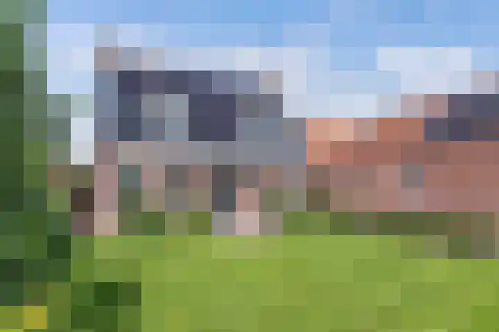 Jaenbuorren 18 Jorwert thumbnail 4