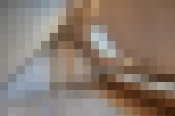 Jaenbuorren 18 Jorwert thumbnail 41