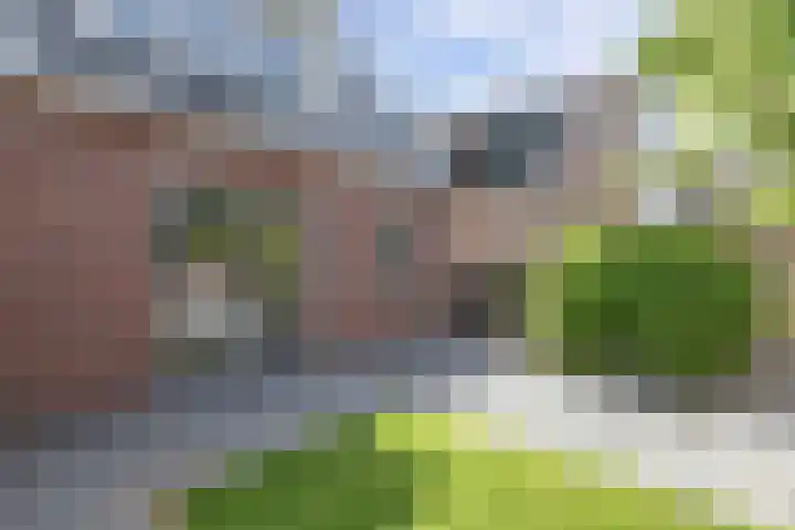 Jaenbuorren 18 Jorwert thumbnail 43